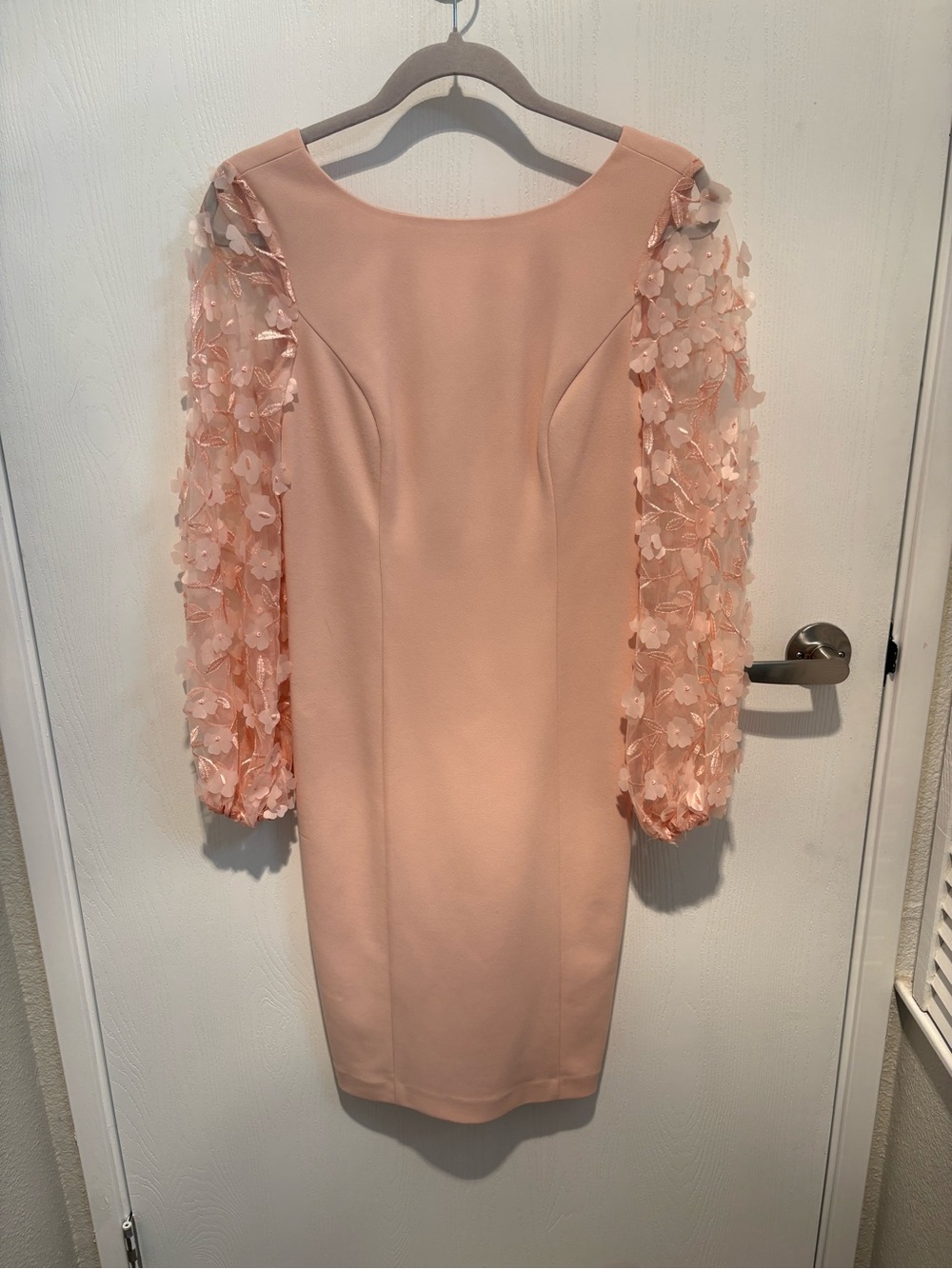 Eliza J Peach Sheath Dress with 3D Floral Sleeves